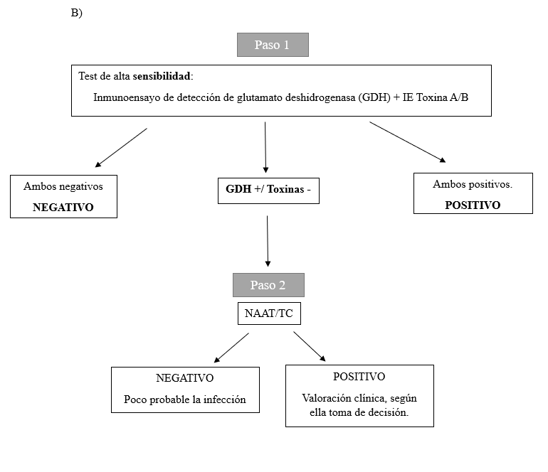 Algoritmo recomendado para el diagnÃ³stico (B)