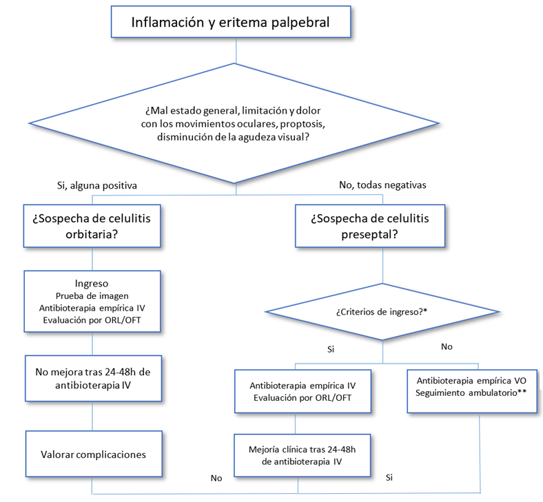InflamaciÃ³n eritema
