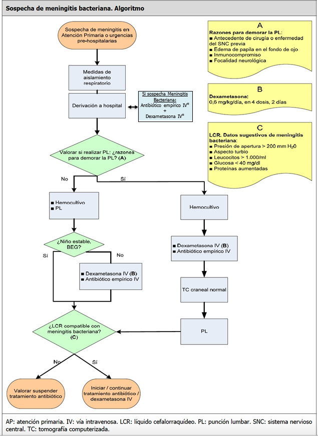 Meningitis algoritmo